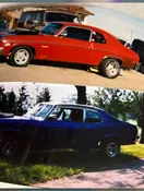 A moment in the life of Memorial Photo