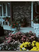 A cherished memory of Memorial Photo