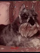 Memorial Photo captured in a moment