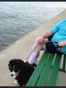 Memory photo of Memorial Photo