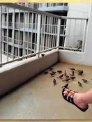 Image shared in remembrance of Ernestine Louise Bolton