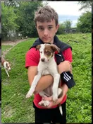 Memorial photo of Finan Jack Doyle