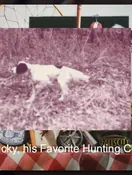 Image of Harris Miller Thorpe