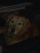 Photograph of Isora Glynne Widgery