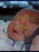 Picture of Memorial Photo