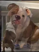 A moment in the life of Jeffrey Lyn Campbell