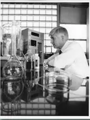 Memorial photo of Leigh Buchanan Bangs