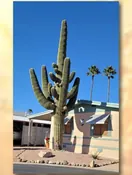 A moment in the life of Linda Kay Button