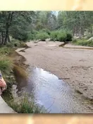 Image of Linda Kay Button