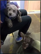 Image of Memorial Photo