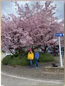 Remembrance photo of Pamela Sue Young