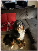 Photograph of Memorial Photo