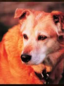 Memory photo of Memorial Photo