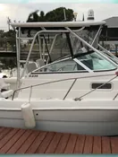 A moment in the life of Memorial Photo