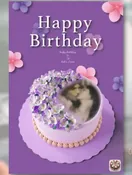 A special memory of William Dolan Underwood