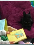 Photograph of Memorial Photo